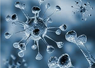 BG大游体内体外药效试验顺遂通过药监局审查