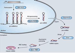 BG大游·(集团)视讯官方网站