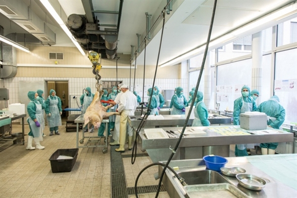 中国药企欧盟碰钉子：质量问题照旧标准差别？？？？？？？