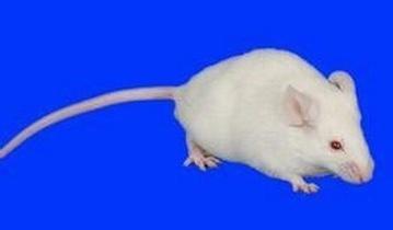 BG大游·(集团)视讯官方网站