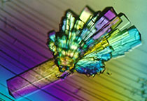 PD-1抑制剂成“抗癌神器”，，，，，海内外企业希望怎样？？？？？？？？