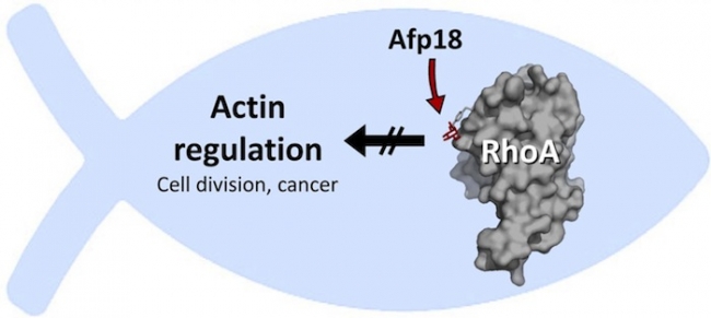 BG大游·(集团)视讯官方网站