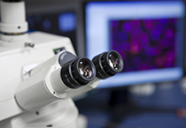 BG大游载体构建效劳