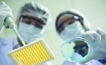 BG大游·(集团)视讯官方网站