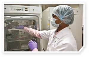 药物临床试验数据核查从严核查五概略点！