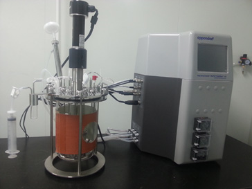 BG大游的生物药（抗体）实验室即将投入使用