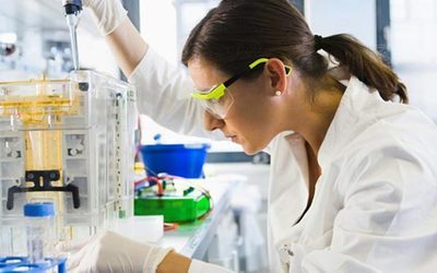 BG大游人类疾病动物模子