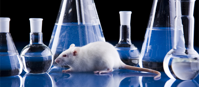 BG大游·(集团)视讯官方网站