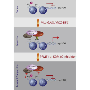 BG大游·(集团)视讯官方网站