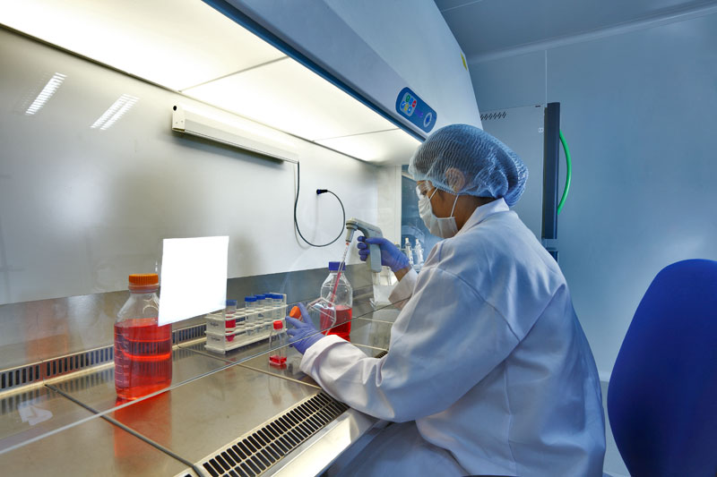 2015年度中国药品批准盘货：化药不批准率超20%，，，，中药上市数目翻3倍