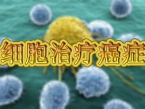 BG大游·(集团)视讯官方网站