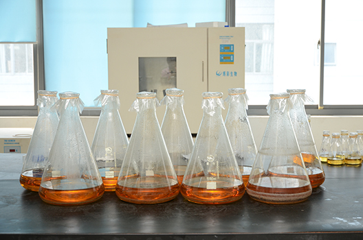 BG大游制剂中心GMP中试车间完工