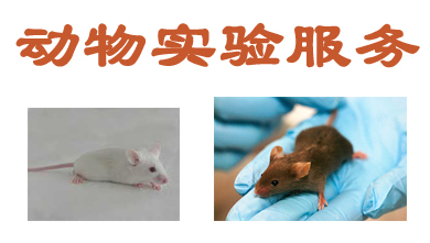 BG大游动物实验外包效劳