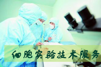 BG大游·(集团)视讯官方网站