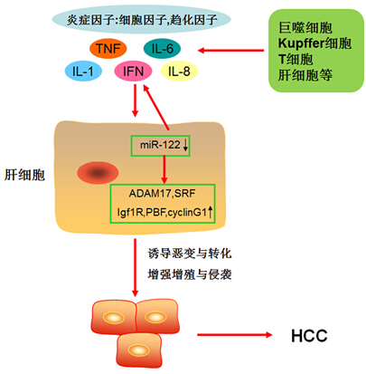 BG大游·(集团)视讯官方网站