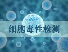 BG大游细胞毒性实验效劳