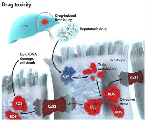 BG大游·(集团)视讯官方网站