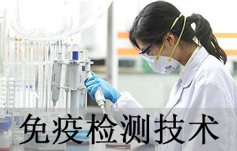 BG大游免疫学检测手艺剖析效劳