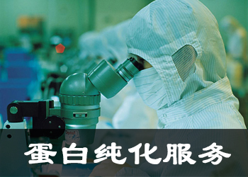 卵白纯化效劳公司