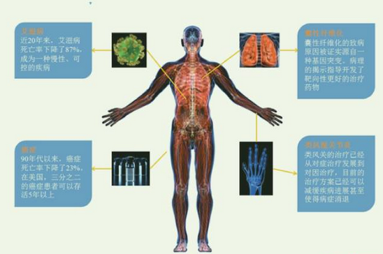 BG大游·(集团)视讯官方网站