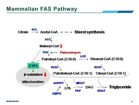 BG大游·(集团)视讯官方网站