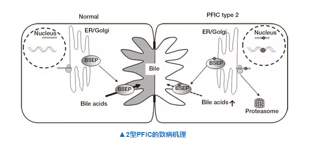 BG大游·(集团)视讯官方网站