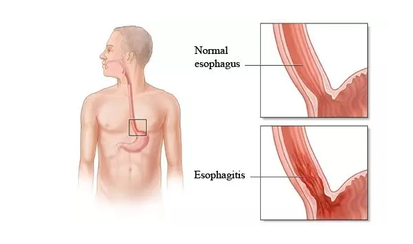 BG大游·(集团)视讯官方网站