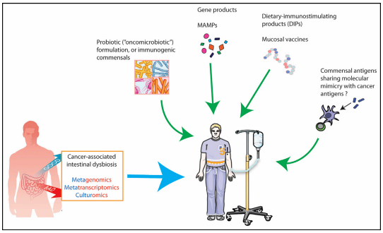 BG大游·(集团)视讯官方网站