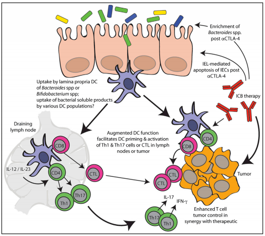 BG大游·(集团)视讯官方网站