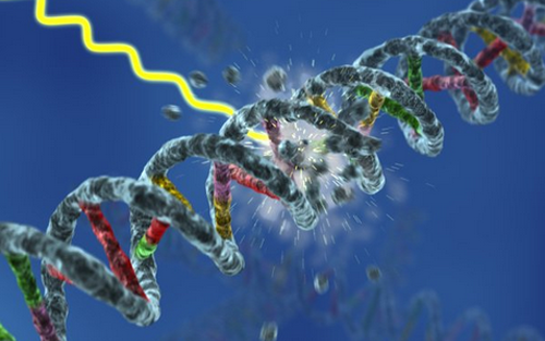 BG大游·(集团)视讯官方网站