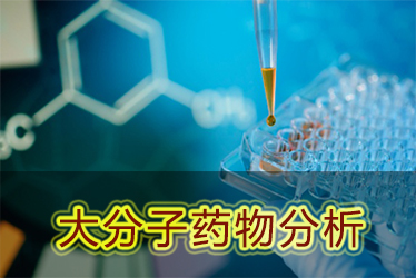 BG大游大分子药物剖析效劳