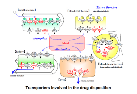 BG大游·(集团)视讯官方网站