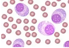 BG大游·(集团)视讯官方网站