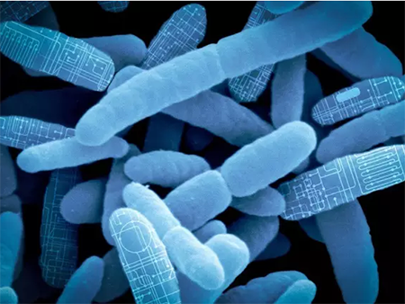 BG大游·(集团)视讯官方网站