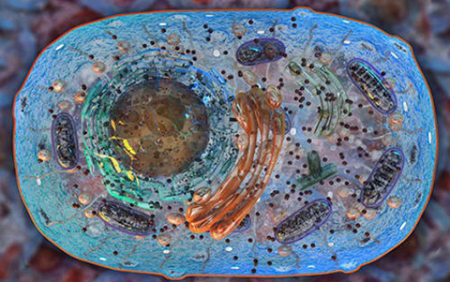 BG大游·(集团)视讯官方网站