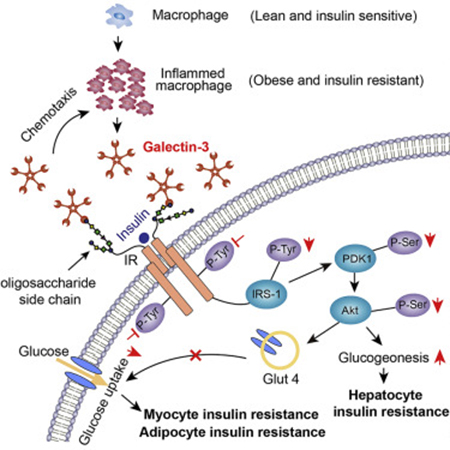 BG大游·(集团)视讯官方网站