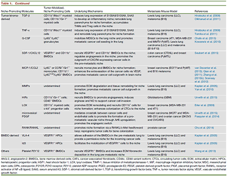 BG大游·(集团)视讯官方网站