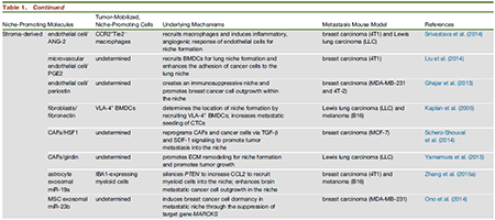 BG大游·(集团)视讯官方网站