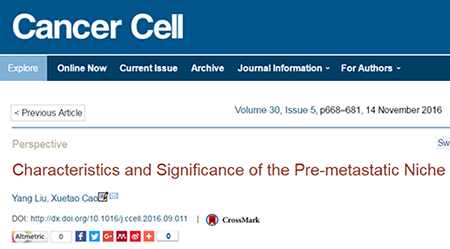 BG大游·(集团)视讯官方网站