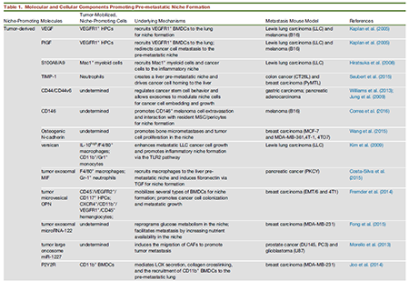 BG大游·(集团)视讯官方网站