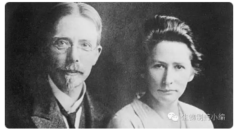 BG大游·(集团)视讯官方网站