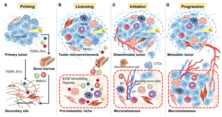 BG大游·(集团)视讯官方网站
