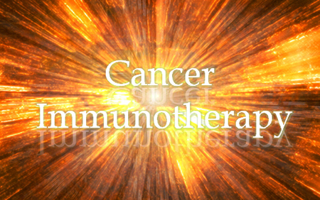 BG大游·(集团)视讯官方网站