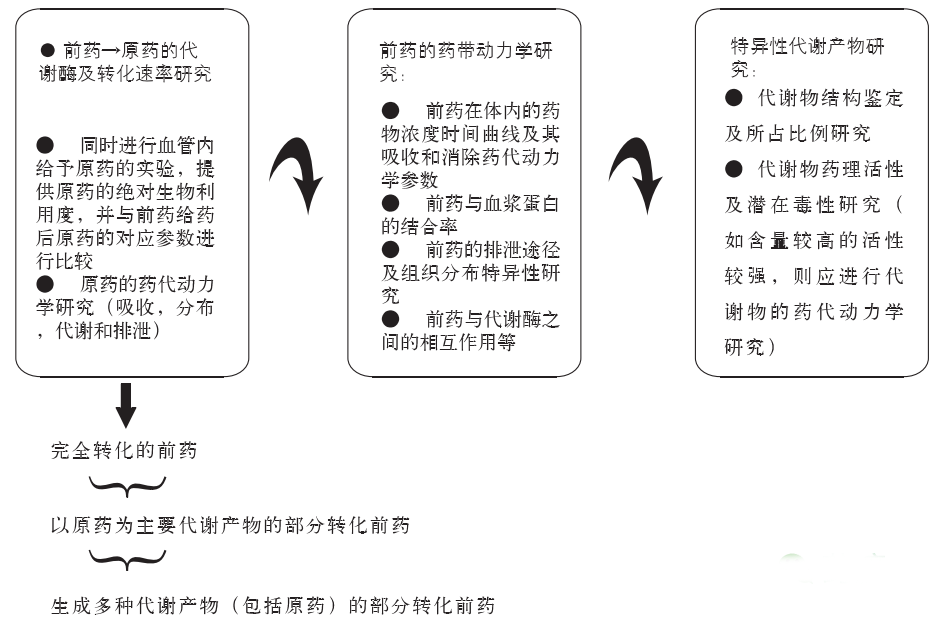 BG大游·(集团)视讯官方网站