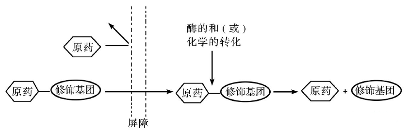 BG大游·(集团)视讯官方网站