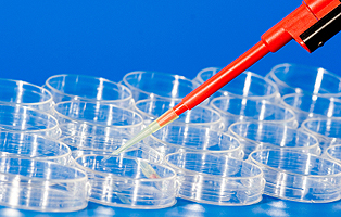 BG大游·(集团)视讯官方网站