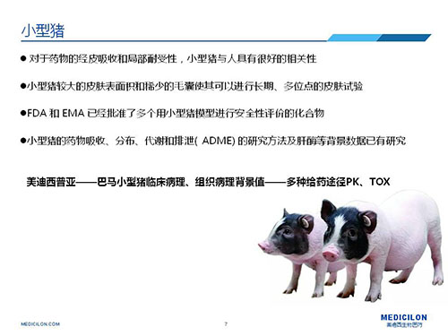 皮肤涂抹试验中，，，，，，受试动物选择小型猪更好