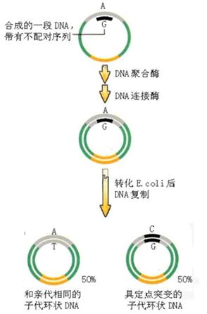 BG大游·(集团)视讯官方网站