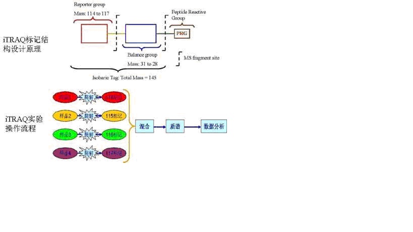 BG大游·(集团)视讯官方网站