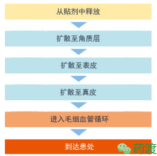 BG大游·(集团)视讯官方网站